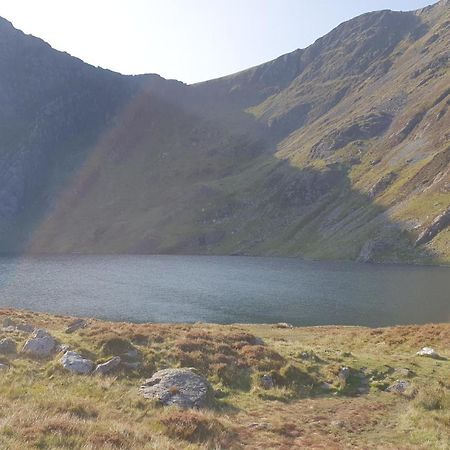 The Granary Corris On The Edge Of The Dyfi Forest エクステリア 写真